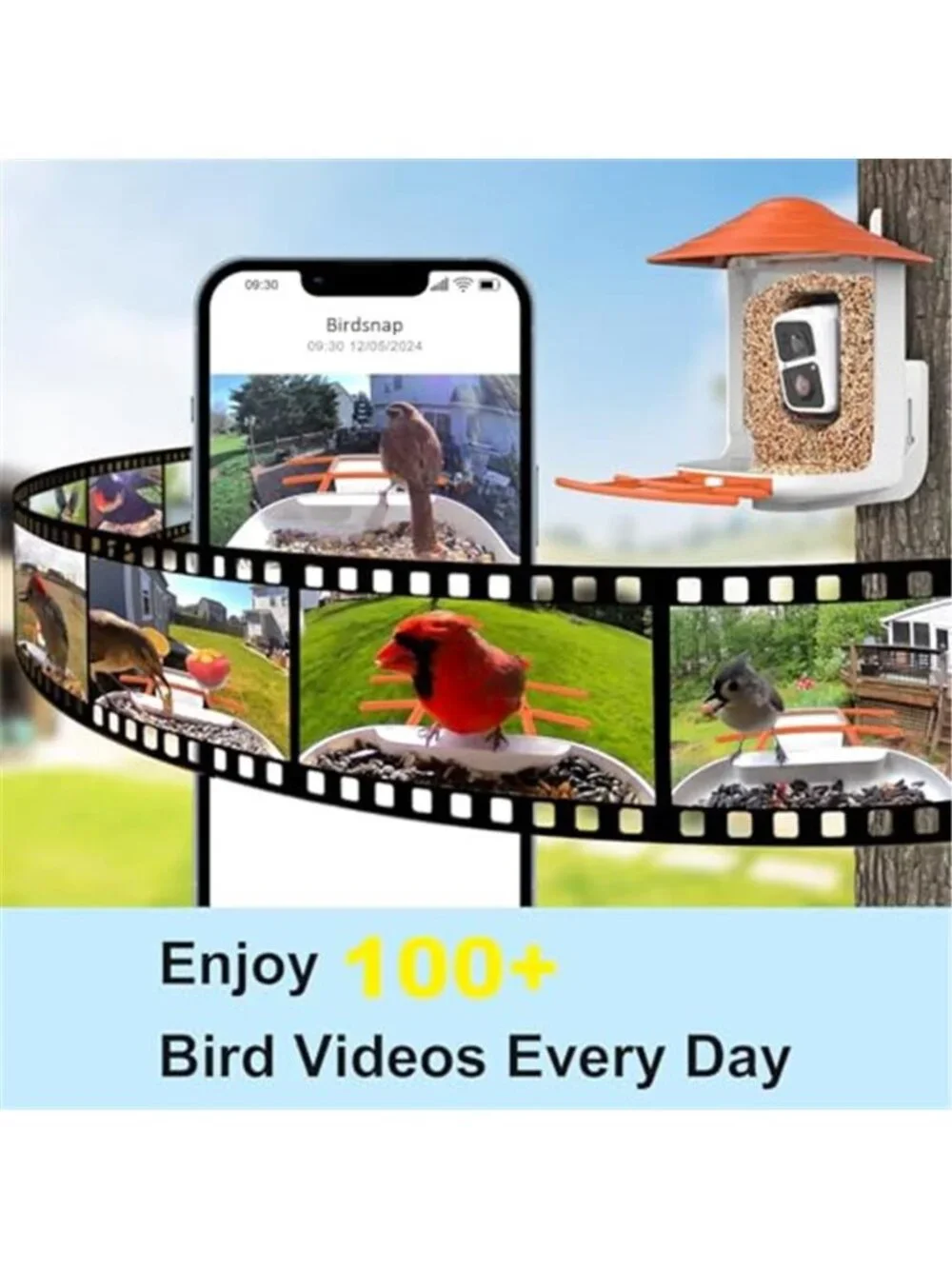 New TUC Bird Feeder with Camera 2K HD Live with 32GB Card Auto Detect &